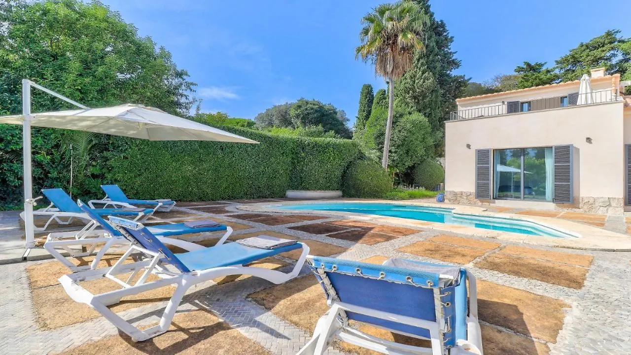 Villa Segui بويينسا