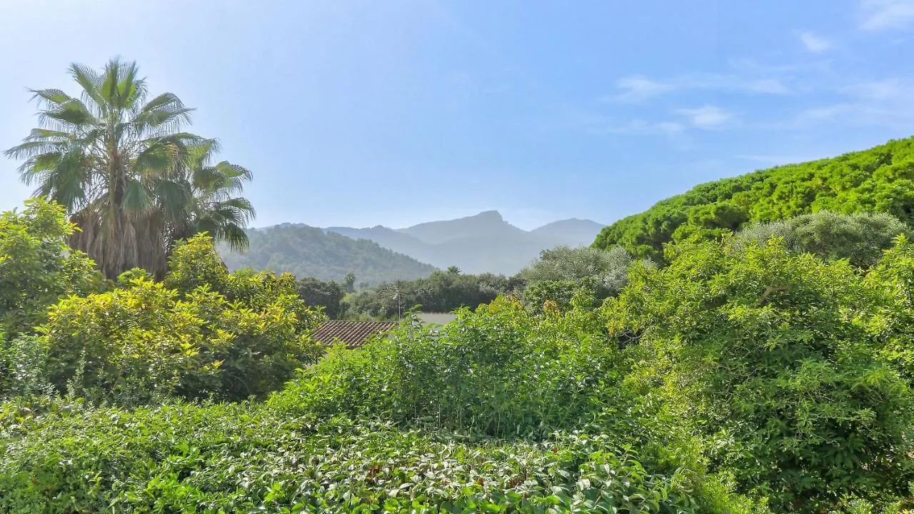 Villa Segui بويينسا إسبانيا
